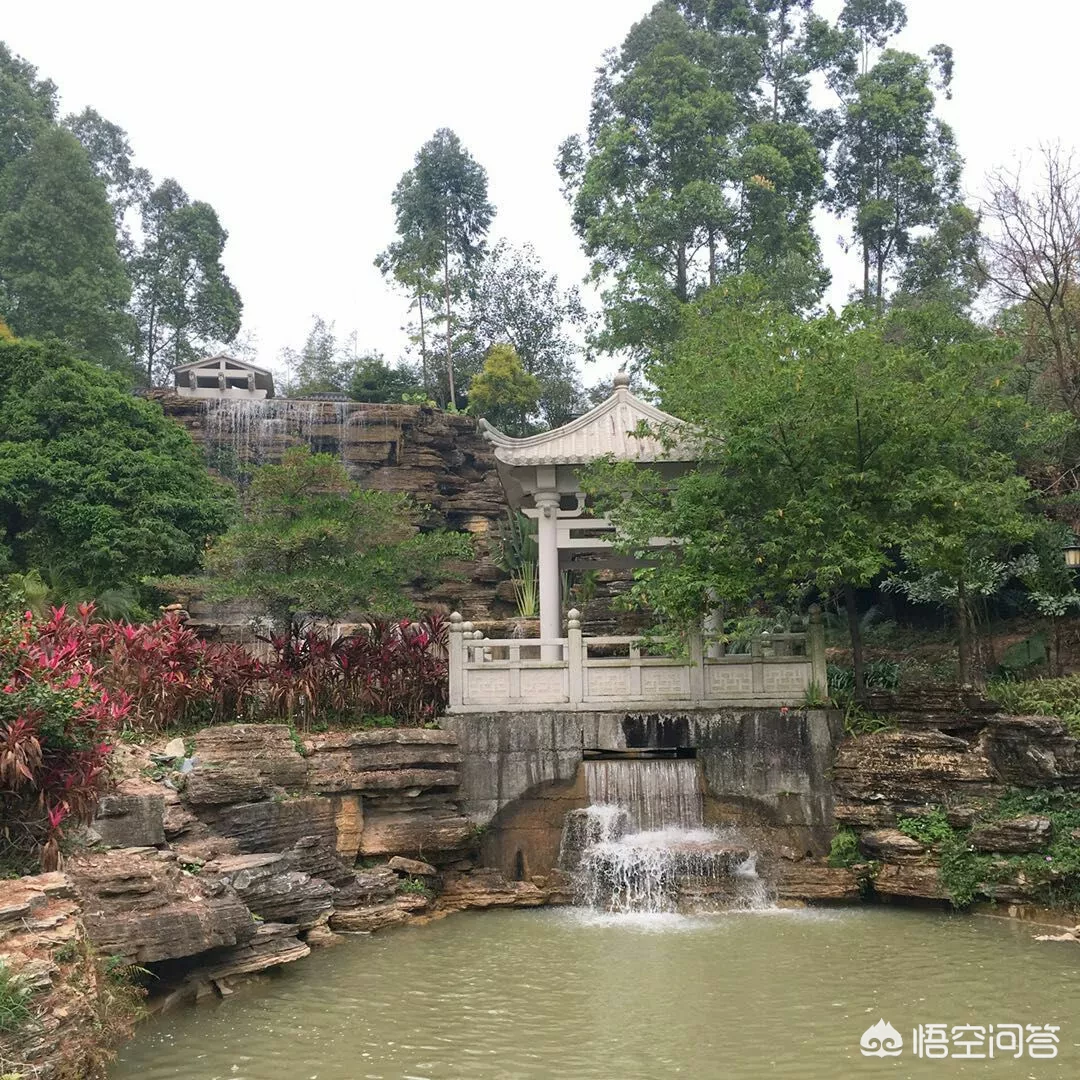 东莞有没有动物园,好玩吗?