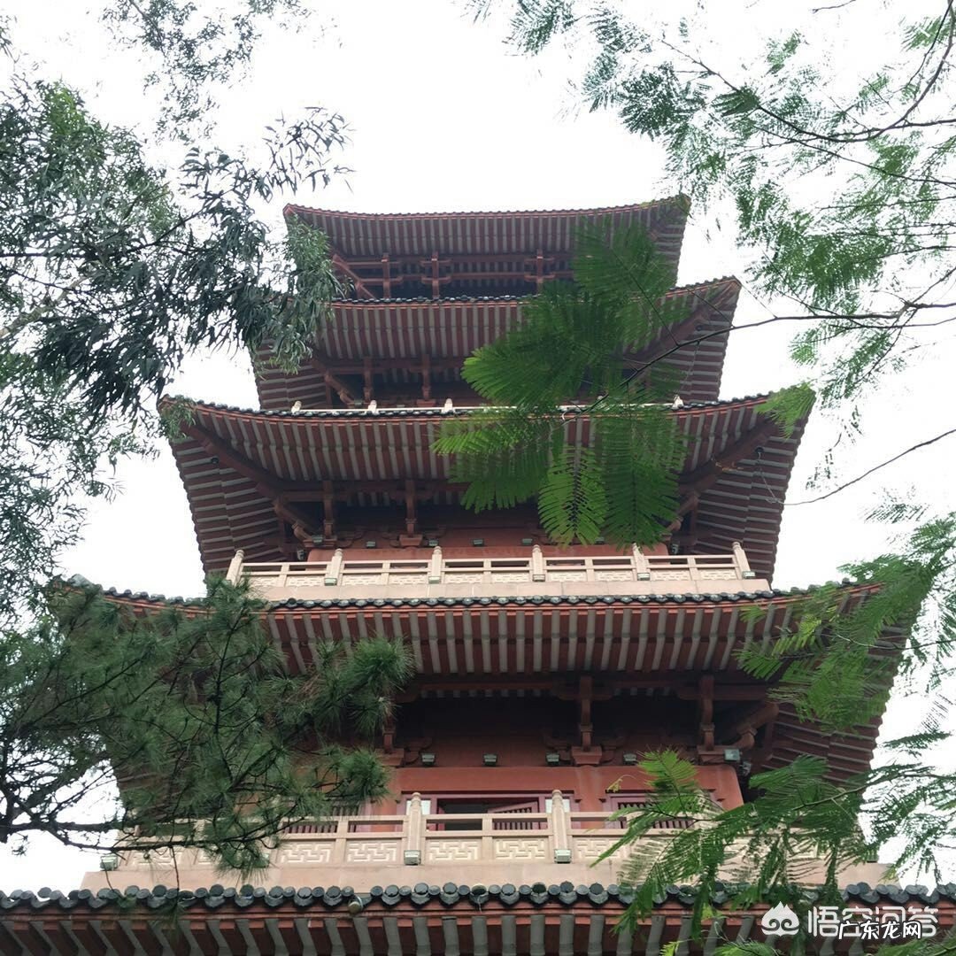 东莞有没有动物园,好玩吗?