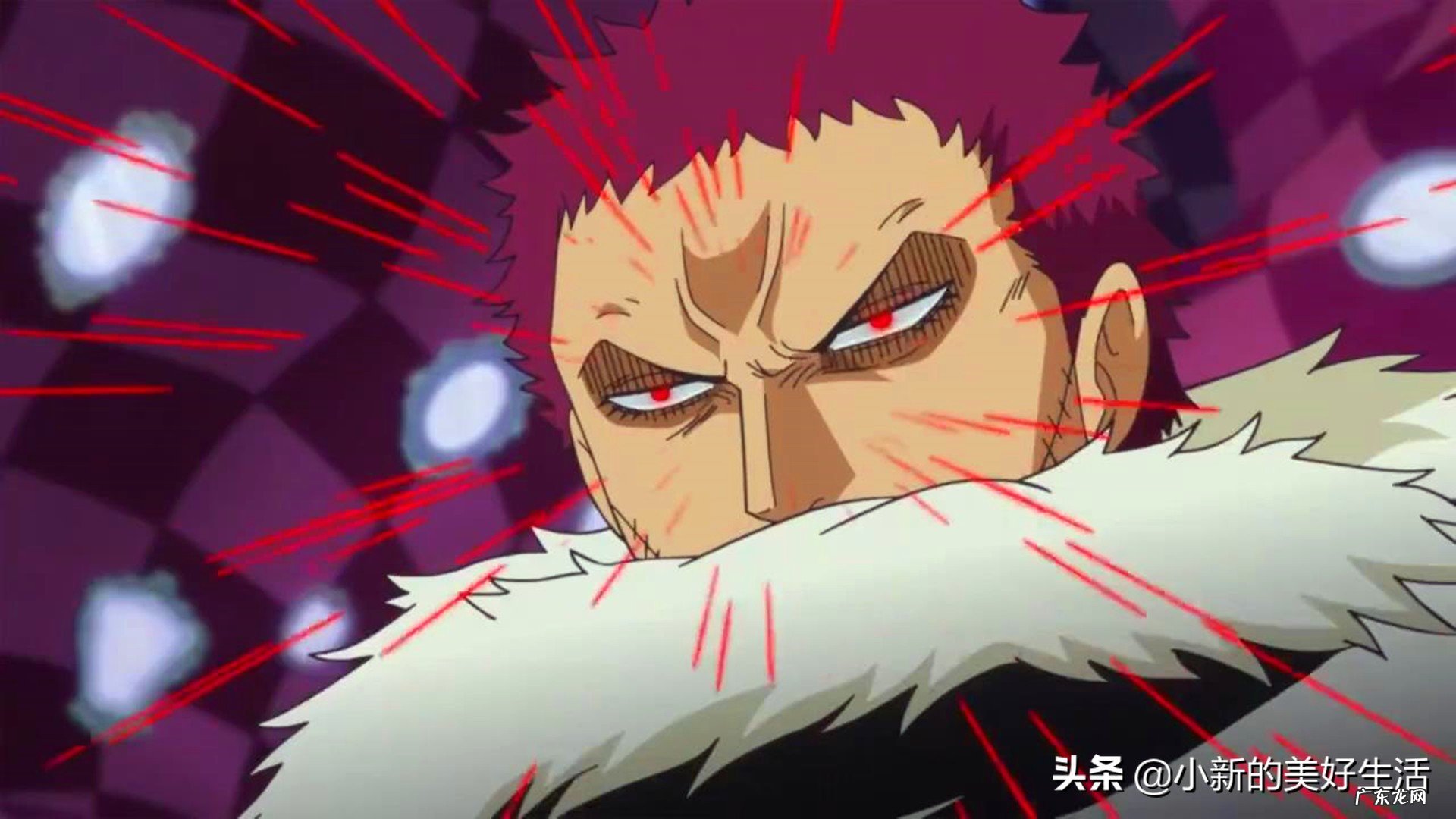 《海贼王》中的三大最强霸气你觉得是谁?