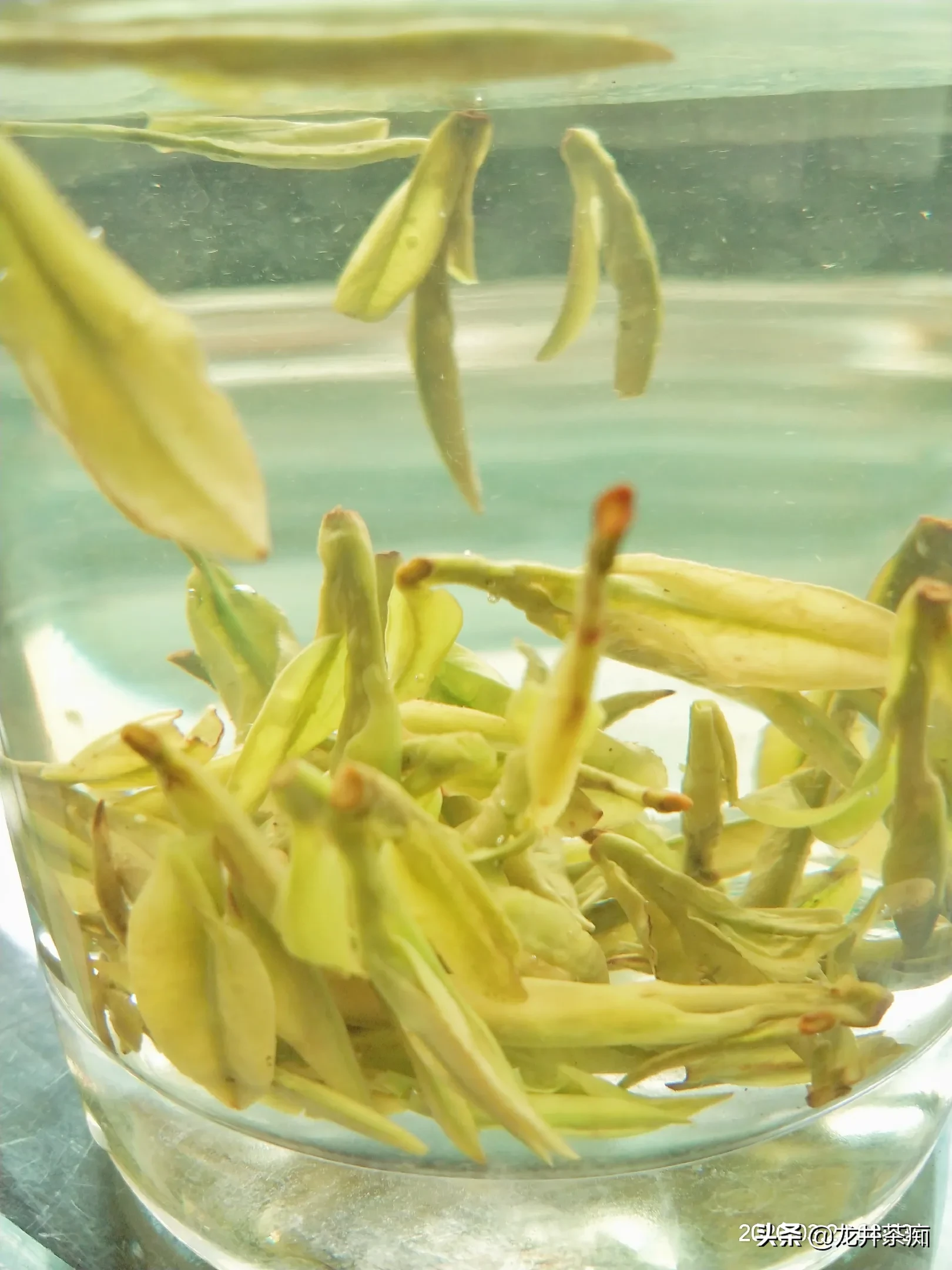 喝茶一辈子,如何辨别一款好茶?怎样鉴别一款好茶的价值?