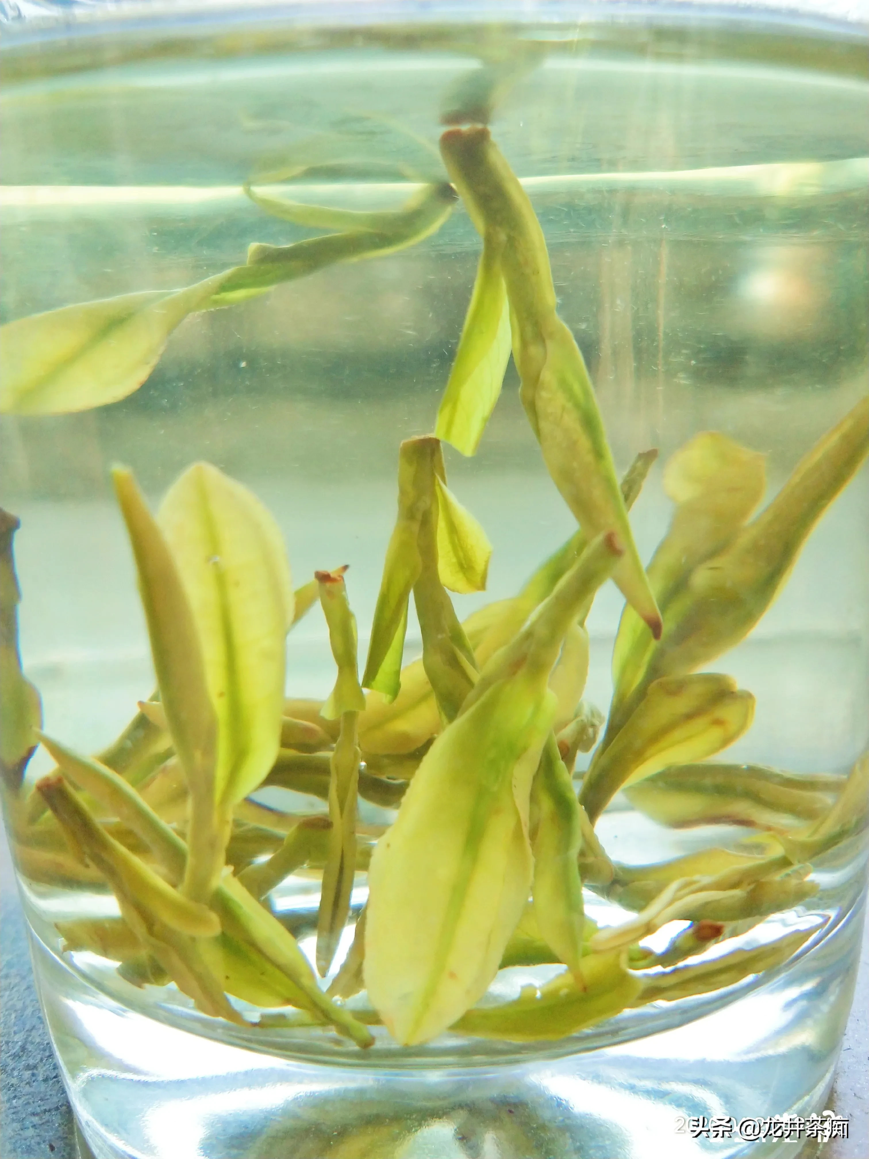 喝茶一辈子,如何辨别一款好茶?怎样鉴别一款好茶的价值?