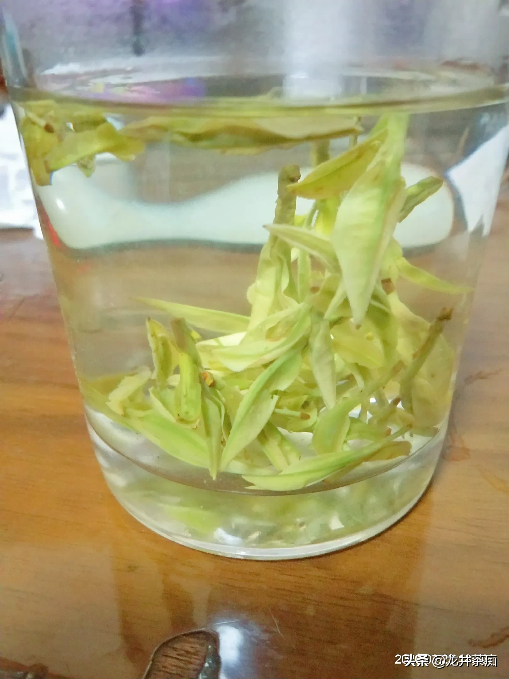 喝茶一辈子,如何辨别一款好茶?怎样鉴别一款好茶的价值?