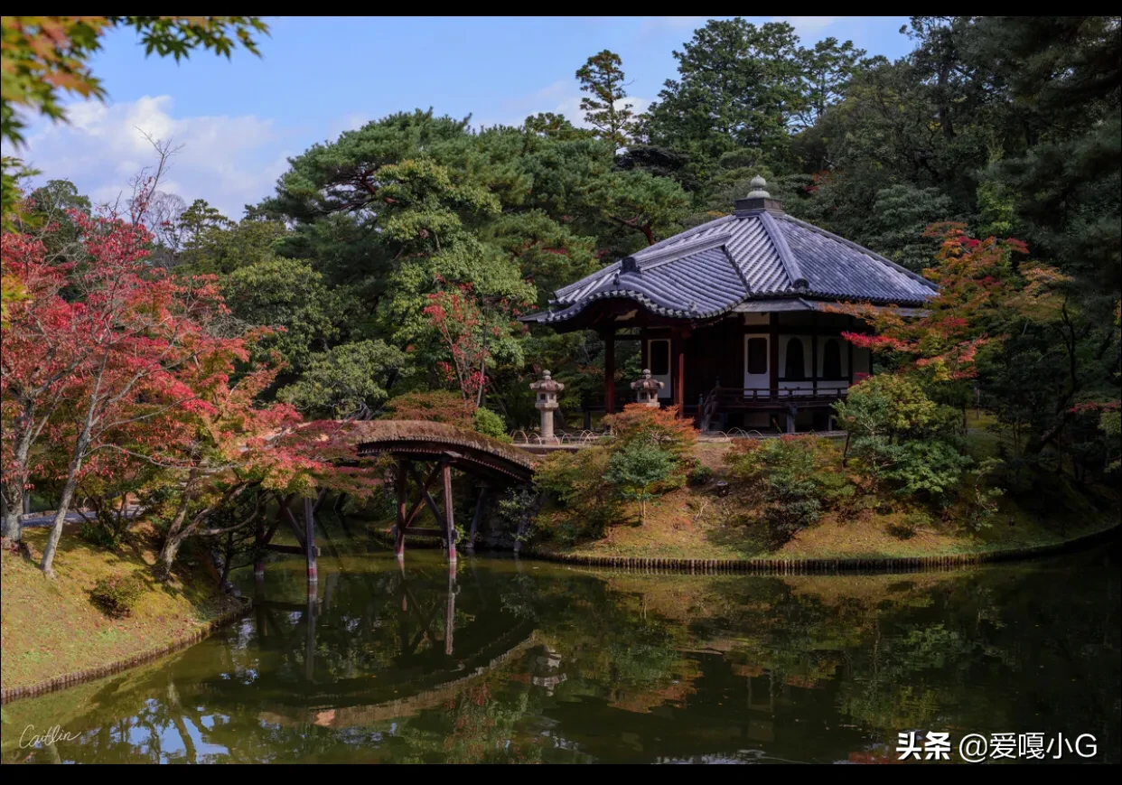 京都有哪些冷门且值得游玩的景点?