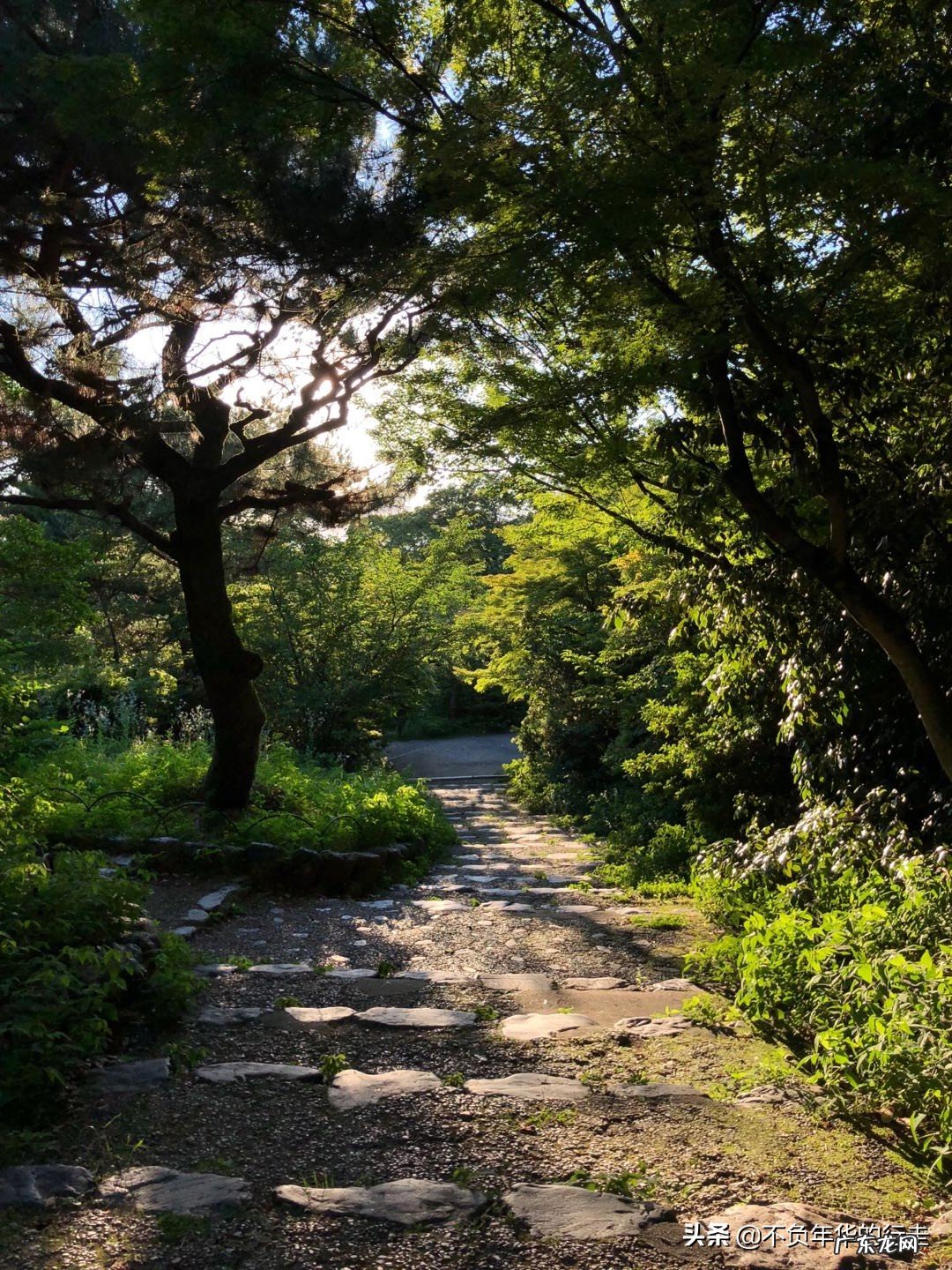 京都有哪些冷门且值得游玩的景点?