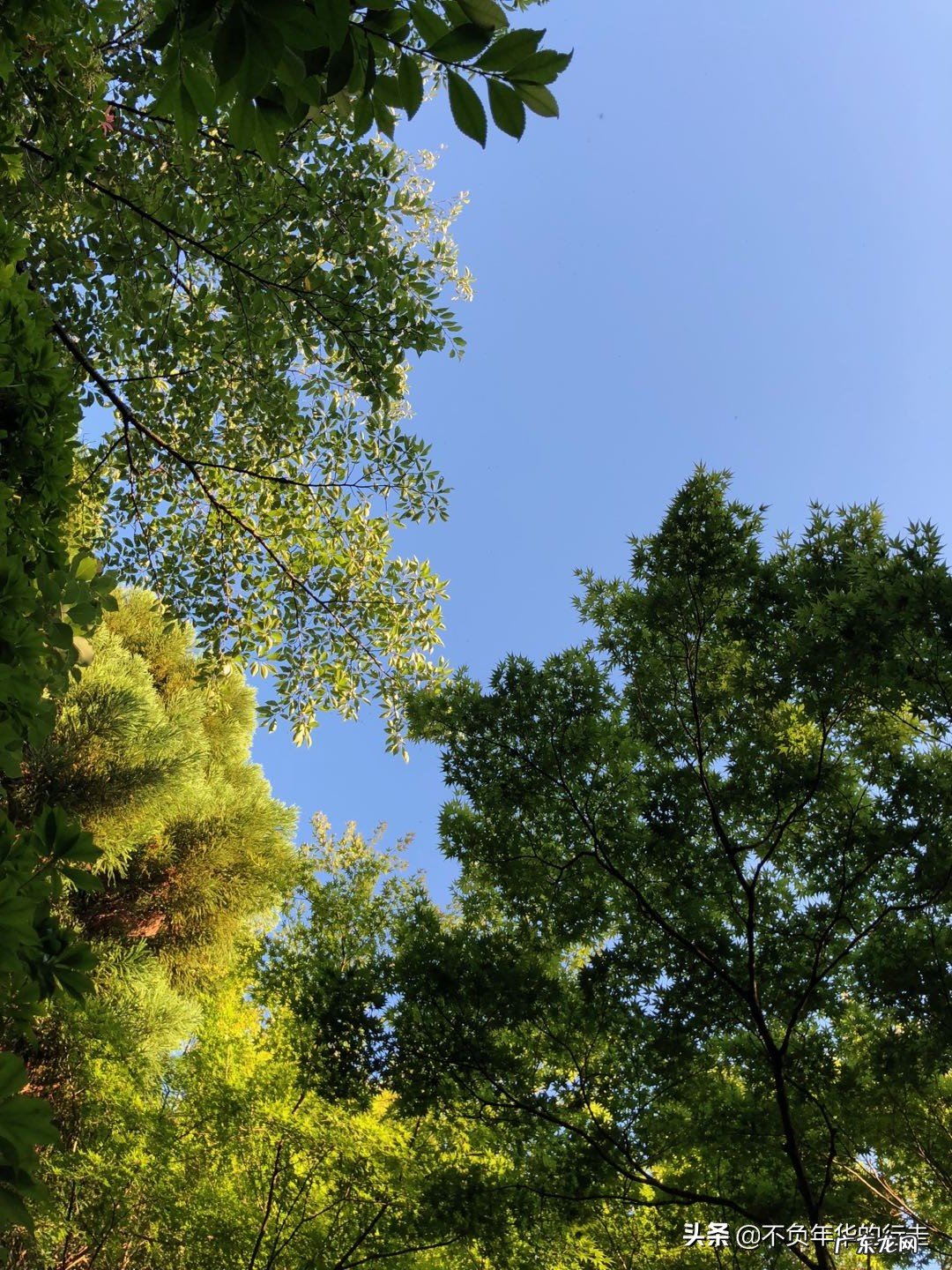 京都有哪些冷门且值得游玩的景点?