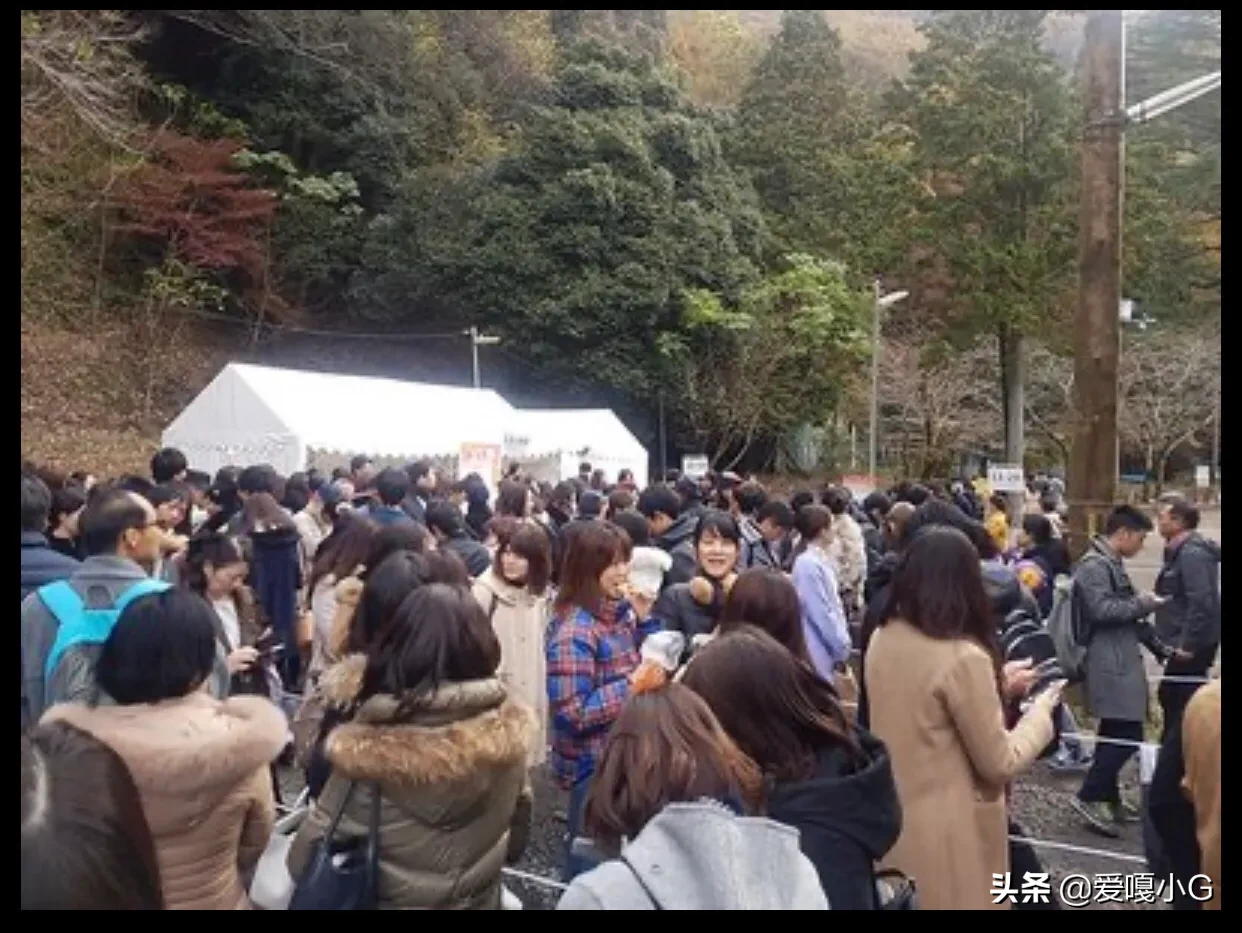 京都有哪些冷门且值得游玩的景点?