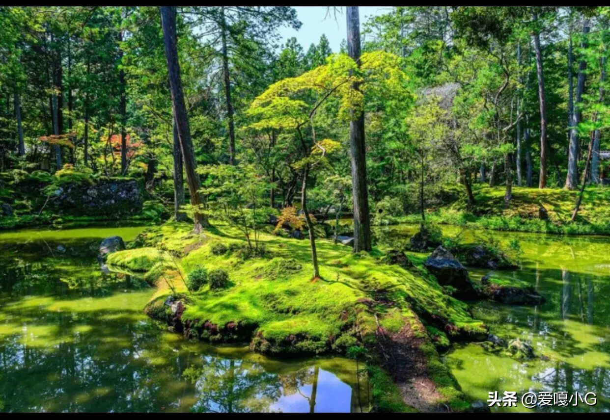 京都有哪些冷门且值得游玩的景点?