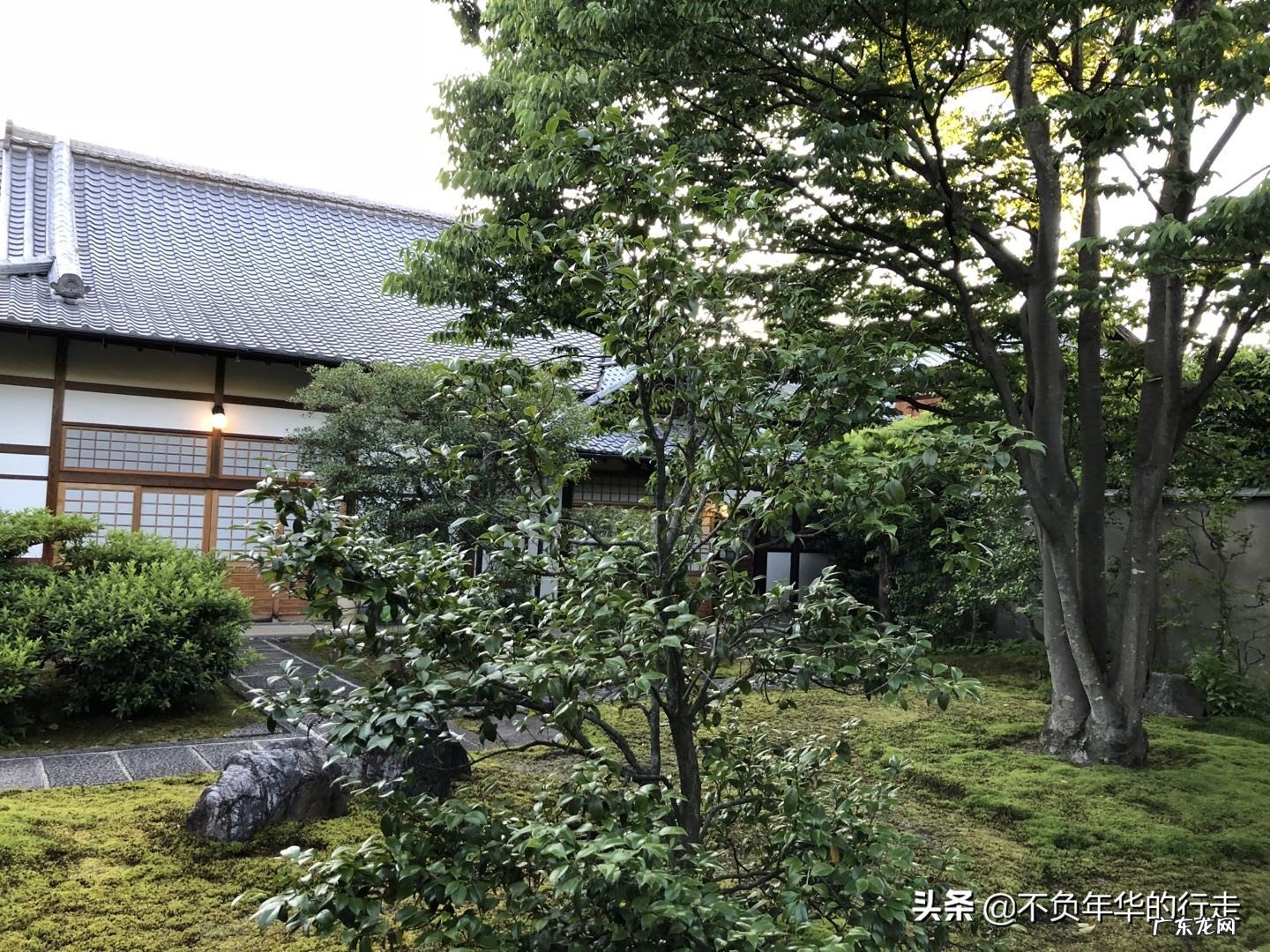 京都有哪些冷门且值得游玩的景点?