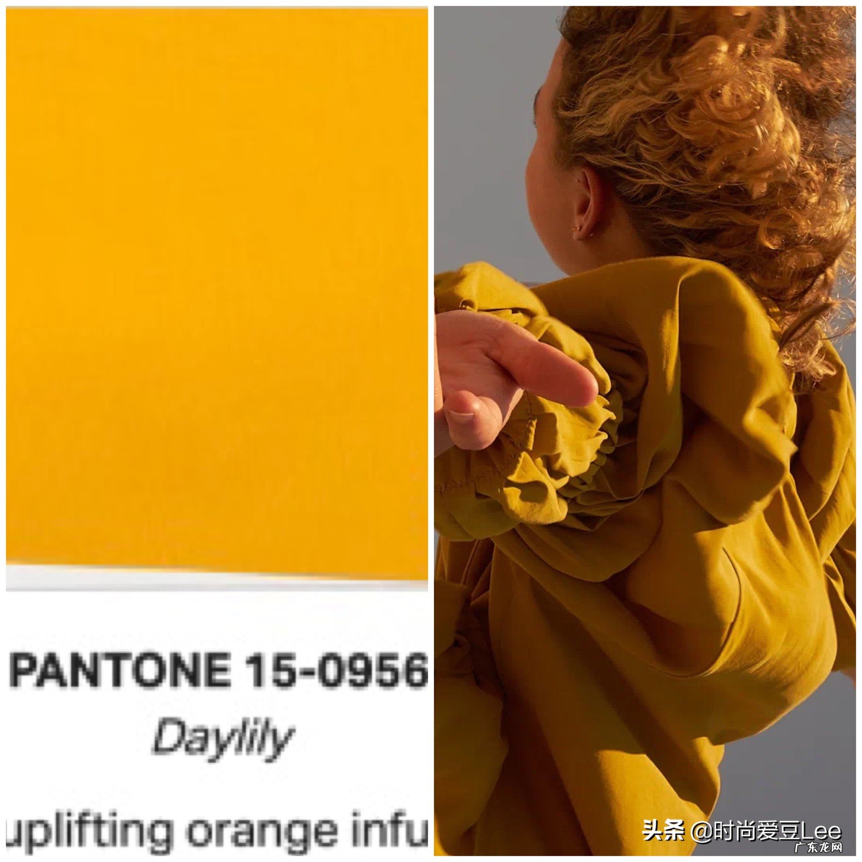 冬天流行什么颜色?