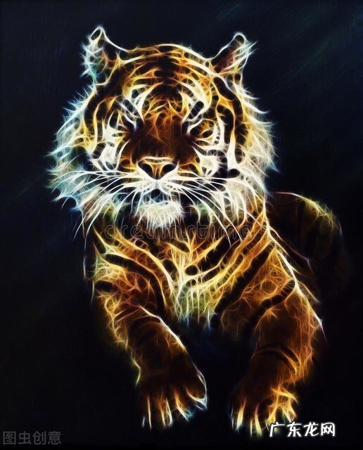 十二生肖喜欢我行我素的都有谁?