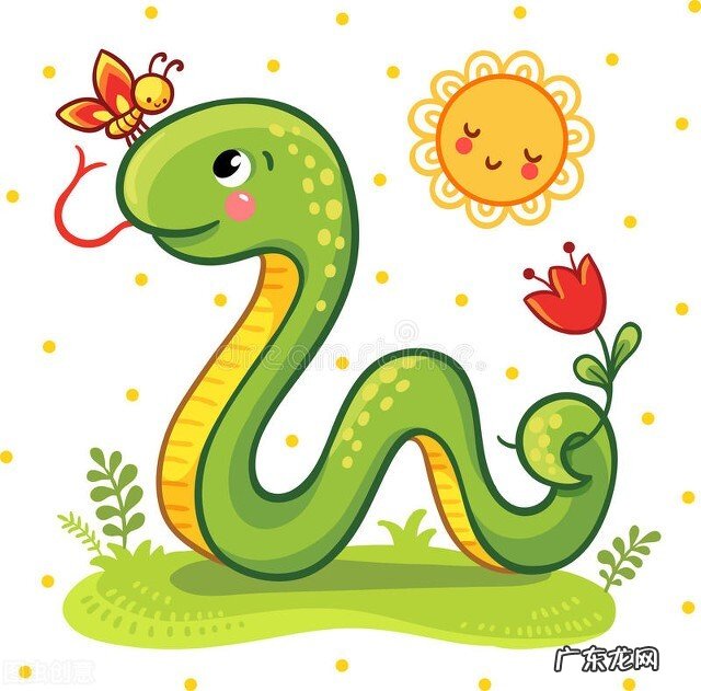 十二生肖喜欢我行我素的都有谁?