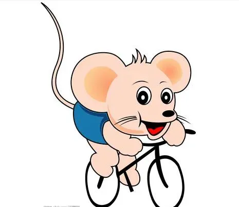 十二生肖喜欢我行我素的都有谁?