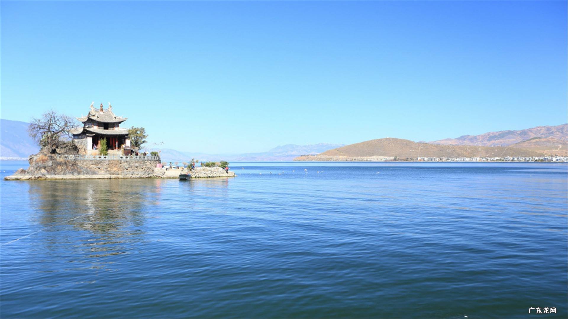 十二生肖喜欢我行我素的都有谁？