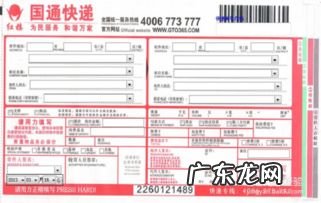 快递单号快速查询中通快递官网 快递单号快速查询自动识别