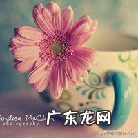 哀大,莫过于心死,一个人心死怎么办?