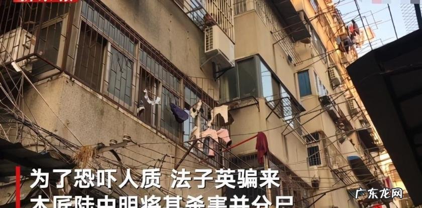 法子英小木匠 法子英