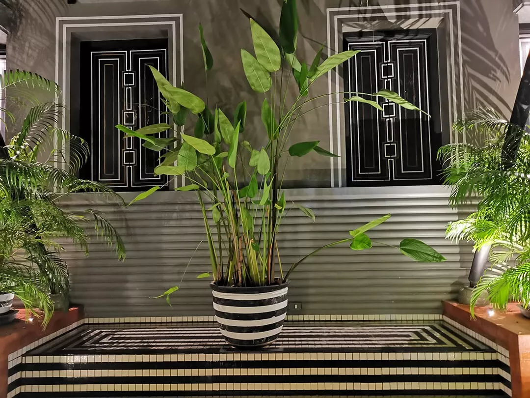 牛形风水宝地图片 柬埔寨风水宝地图片