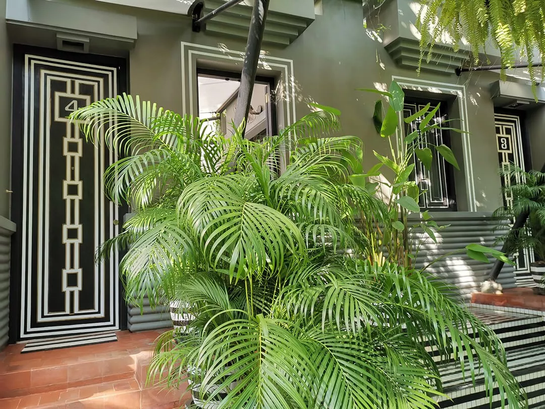 牛形风水宝地图片 柬埔寨风水宝地图片