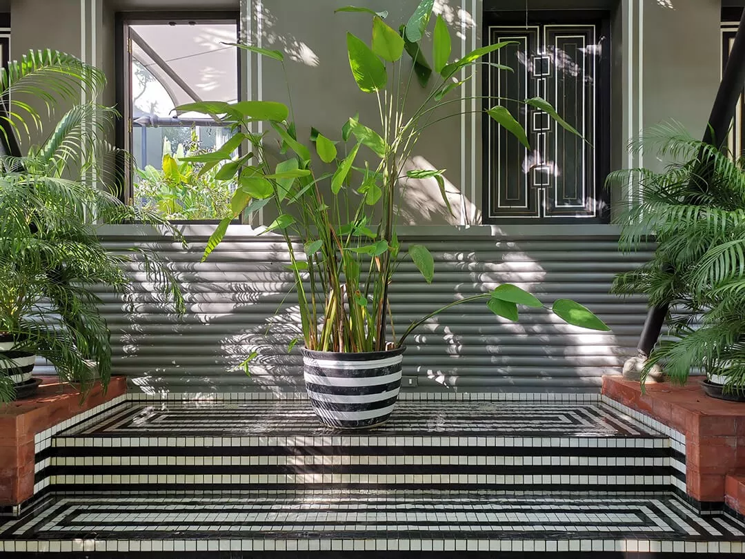 牛形风水宝地图片 柬埔寨风水宝地图片