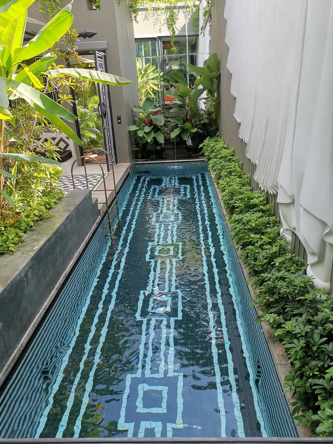 牛形风水宝地图片 柬埔寨风水宝地图片