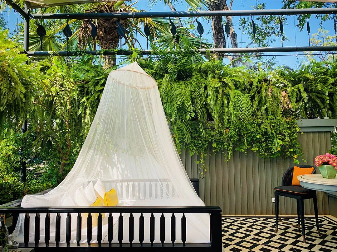 牛形风水宝地图片 柬埔寨风水宝地图片