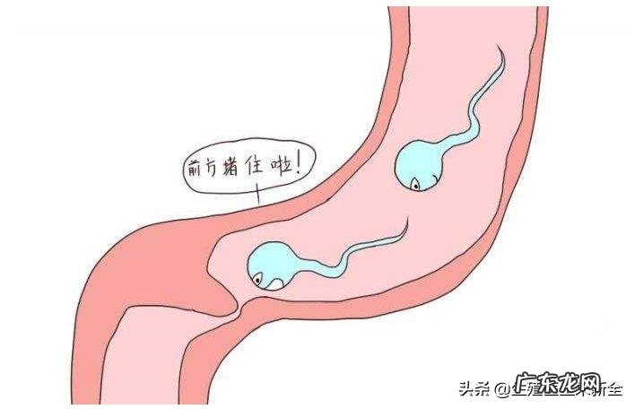 哪些疾病会造成女方不孕?能把身体调理好吗?