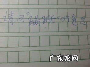 噪组词 告组词再组四字词语有哪些