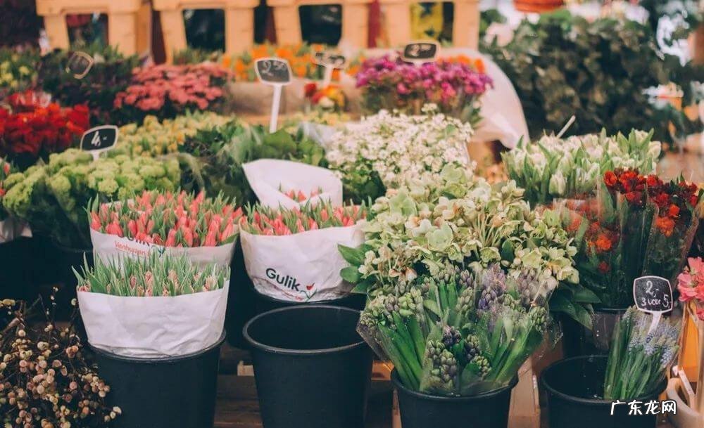 网上借钱不还会有什么后果 总把钱借出去是不是影响运气