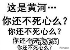 “不见黄河心不死,不撞南墙不回头”说的是执着吗?