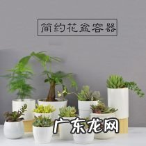 全国最大花盆批发市场在哪里 花盆生产厂家哪里最多