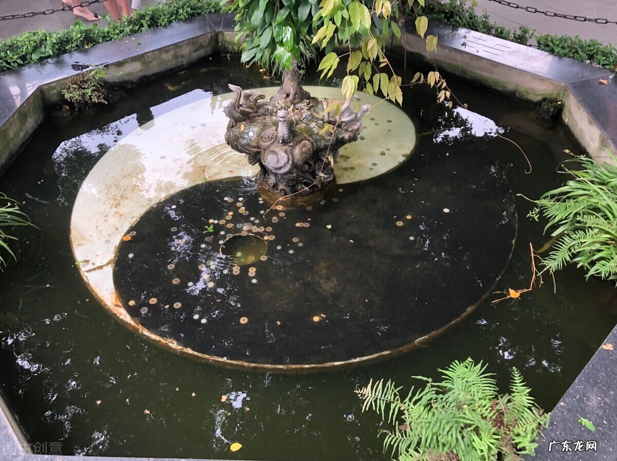 风水服务项目 中国风水公司经营范围