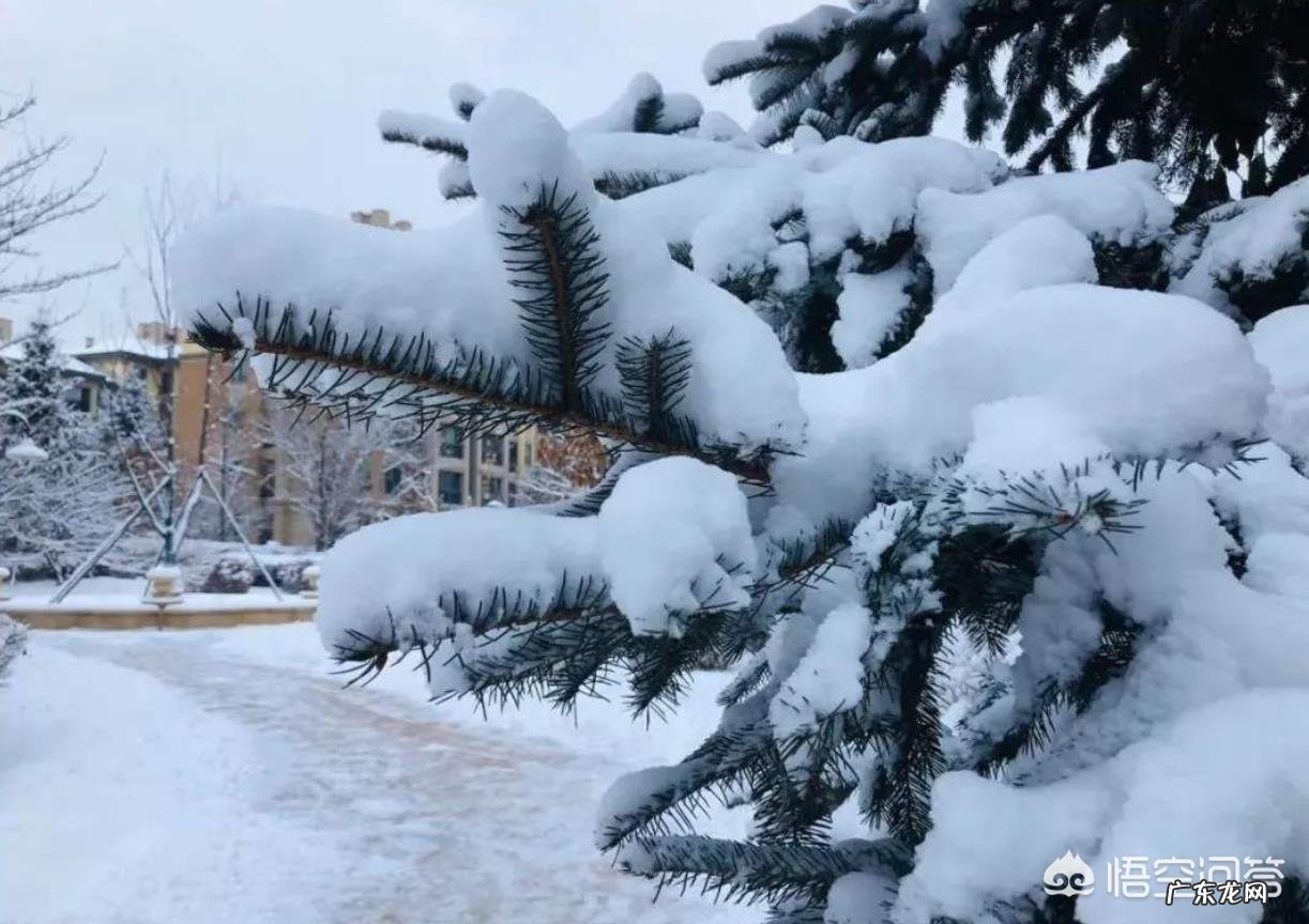 2020年是暖冬还是冷冬?