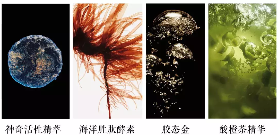 lamer是什么牌子 LAMER官网