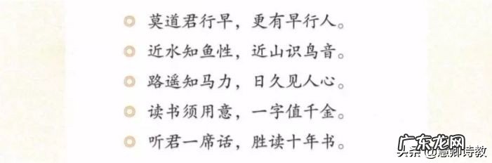 绰了梢棒的拼音 梢棒怎么读音是什么