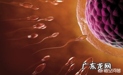 哺乳期的妈妈会怀孕吗?