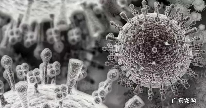 漳州新增病例:未按要求采检 漳州新增病例未按要求在厦门检测义乌