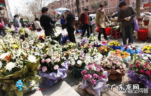 在天津逛花鸟鱼虫市场,去哪比较好?