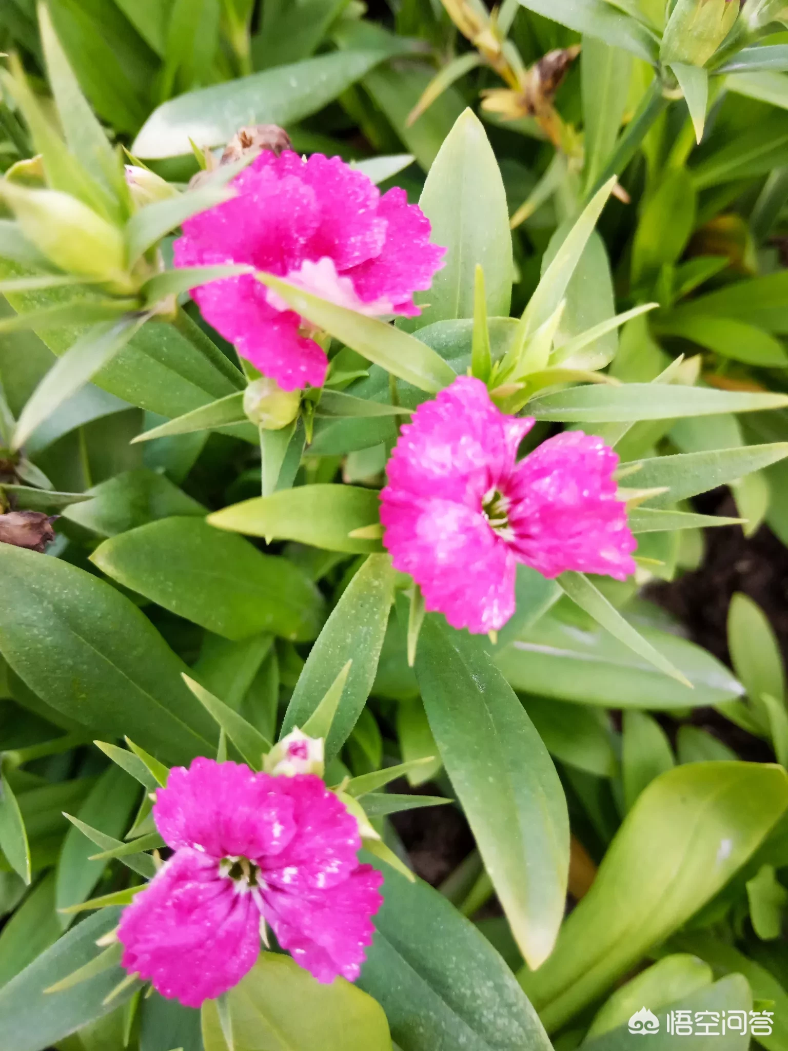 你小时候觉得什么事情特别搞笑?被什么事情吓到过?