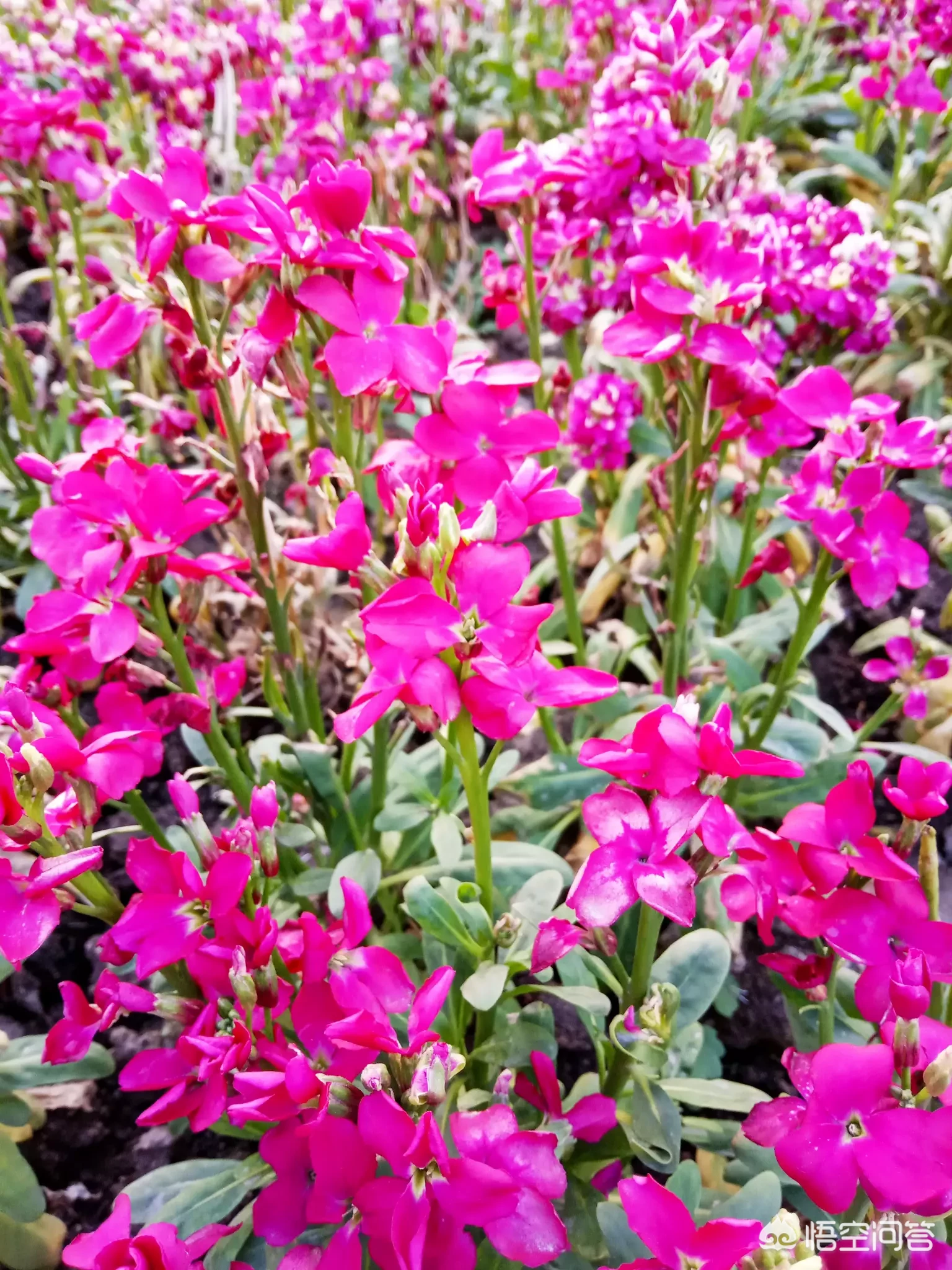 你小时候觉得什么事情特别搞笑?被什么事情吓到过?