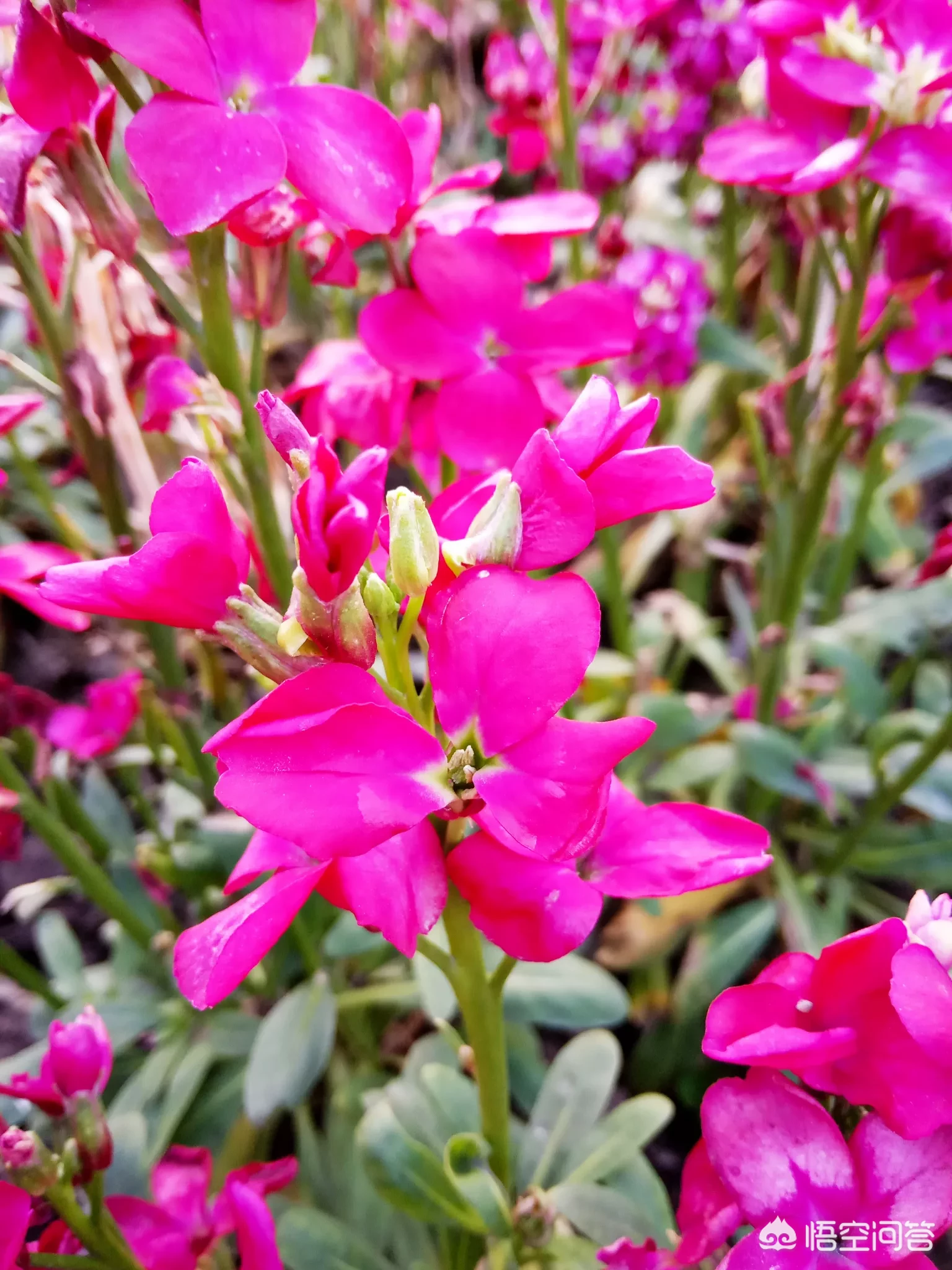 你小时候觉得什么事情特别搞笑?被什么事情吓到过?