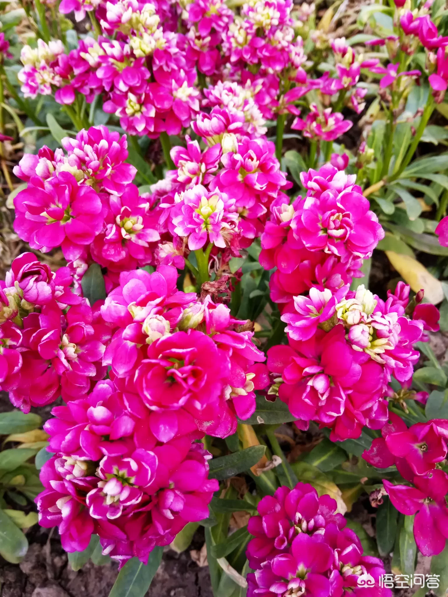 你小时候觉得什么事情特别搞笑?被什么事情吓到过?