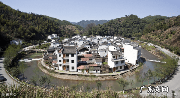 水仙向阳还是向阴 阳宅向阴好还是向阳好