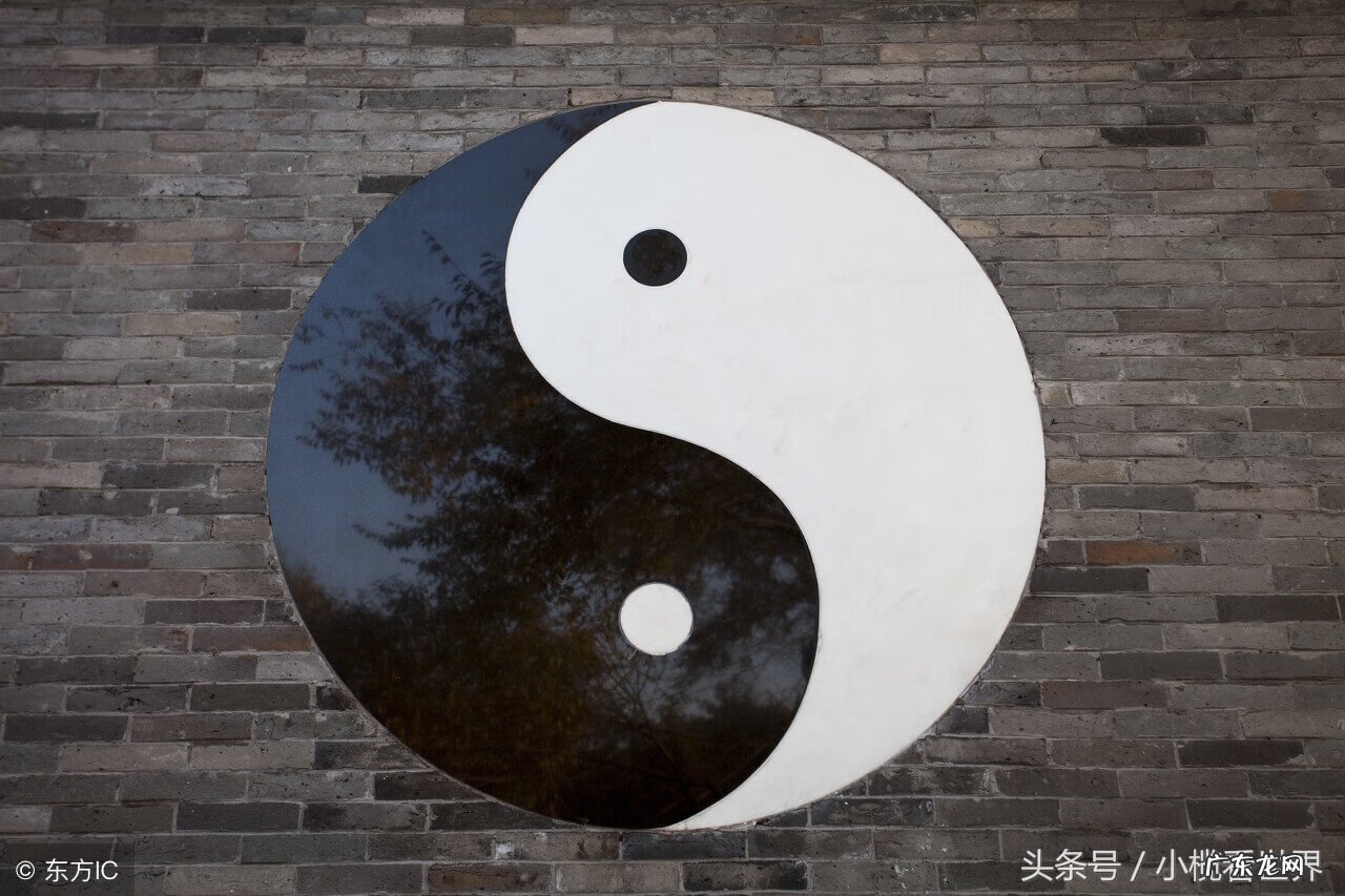 水仙向阳还是向阴 阳宅向阴好还是向阳好