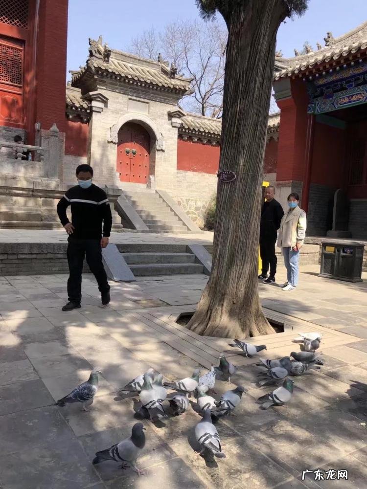 嵩山少林寺在哪里个省哪个市哪个县 嵩山少林寺在哪里个城市