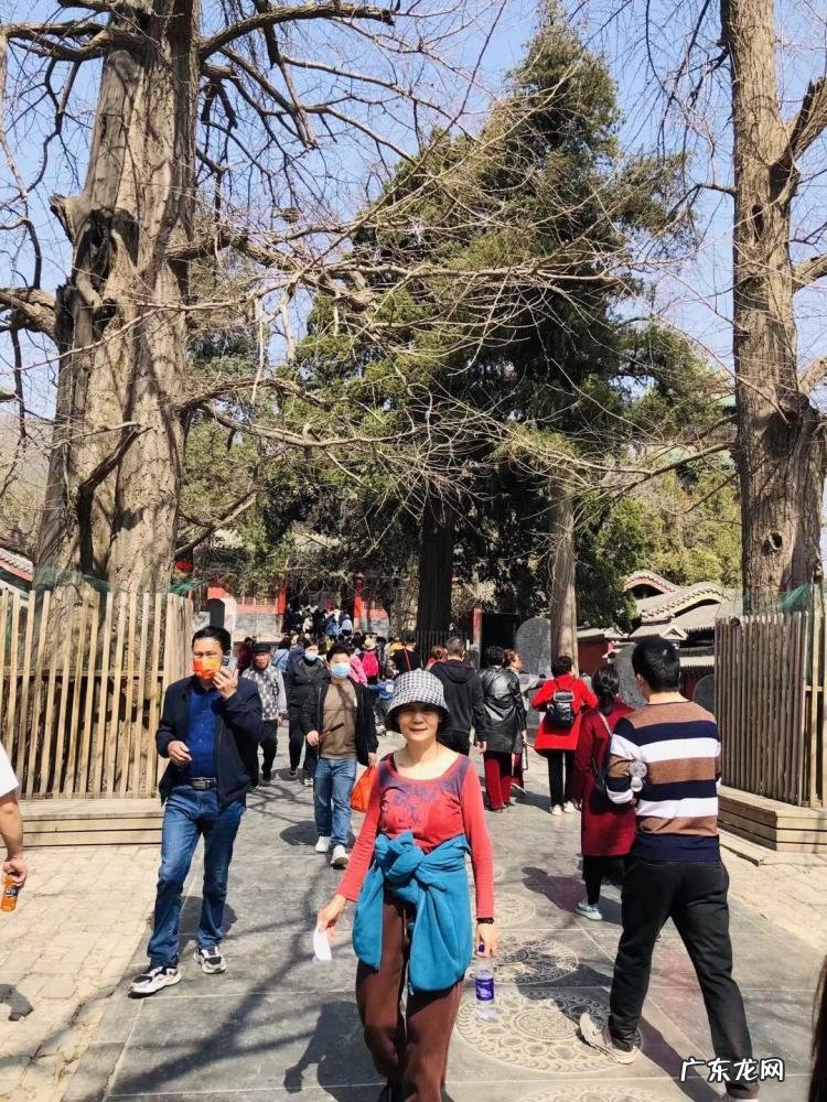 嵩山少林寺在哪里个省哪个市哪个县 嵩山少林寺在哪里个城市