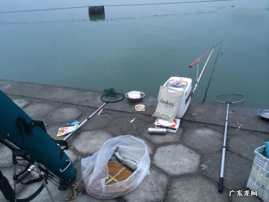 水库冬钓鲢鳙水深是多少 南方冬天水库钓鲢鳙绝招