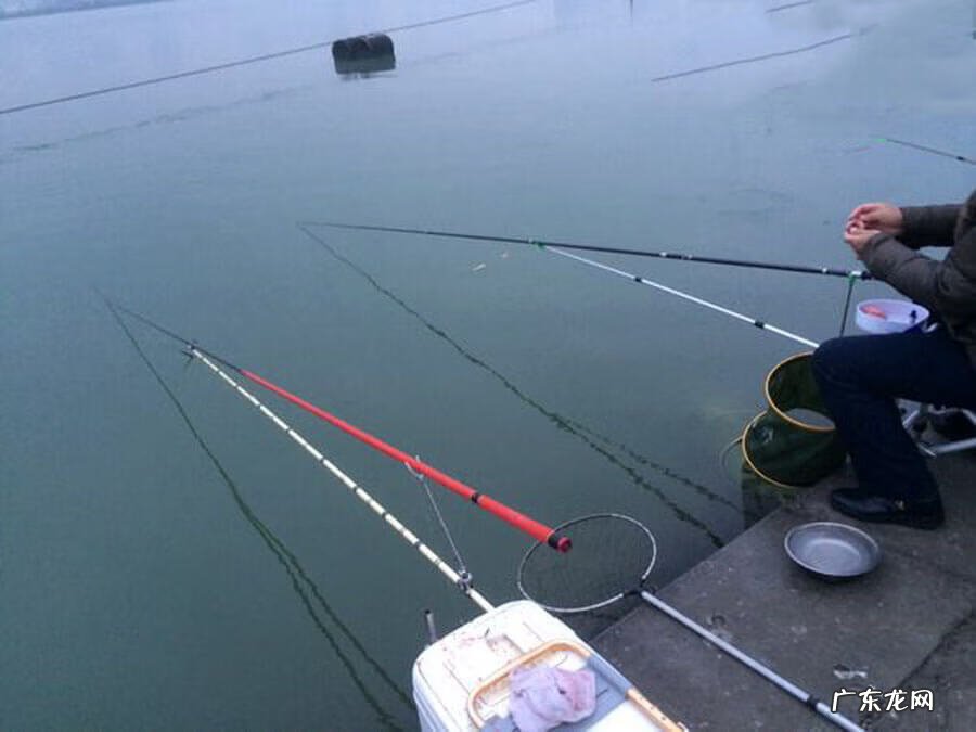 水库冬钓鲢鳙水深是多少 南方冬天水库钓鲢鳙绝招