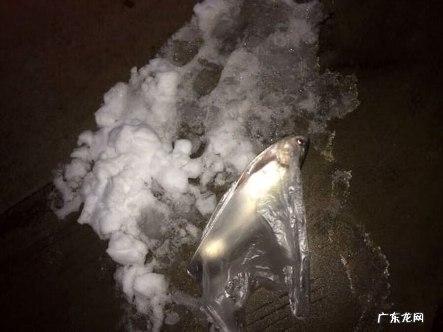 水库冬钓鲢鳙水深是多少 南方冬天水库钓鲢鳙绝招