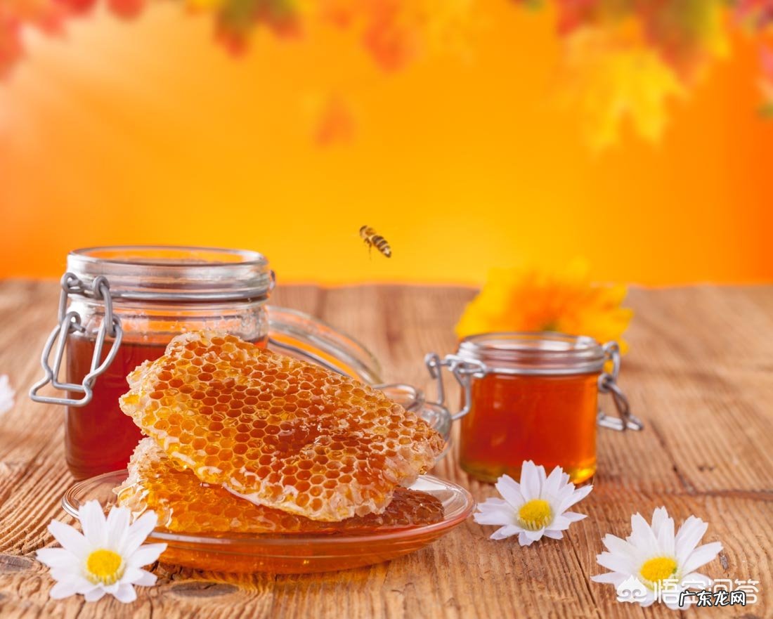 喝槐花蜜蒸熟好还是喝生槐花蜜好？有什么好处？