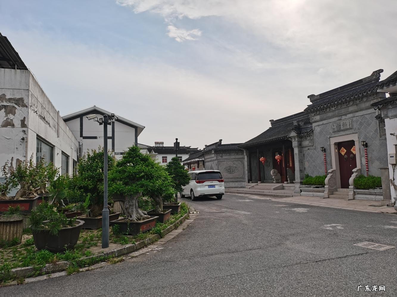 碧螺春产自哪里蚂蚁庄园 碧螺春原产地在哪里